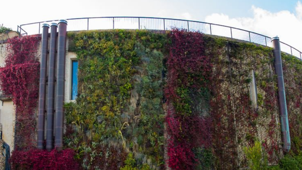 Salcheto Vertical Garden